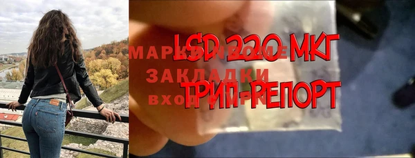 каннабис Белокуриха