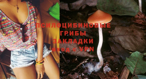 каннабис Белокуриха
