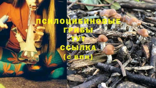 каннабис Белокуриха