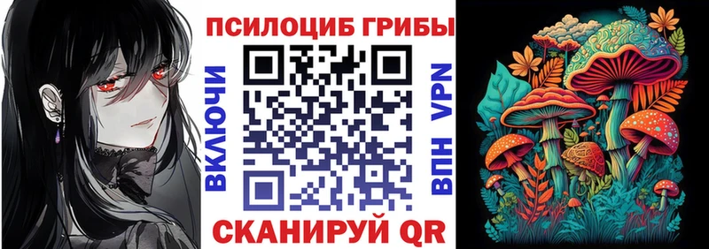 Галлюциногенные грибы прущие грибы  Красновишерск 